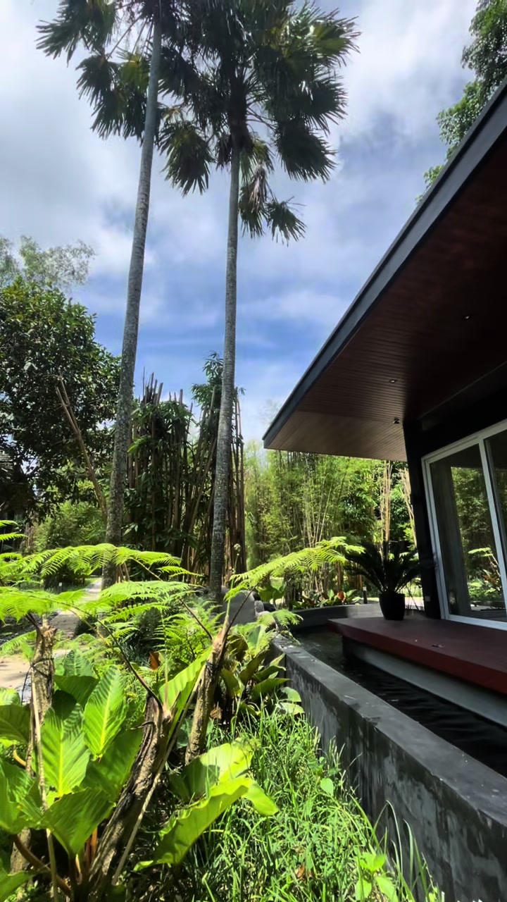 Resort cabin surrounded by lush tropical greenery